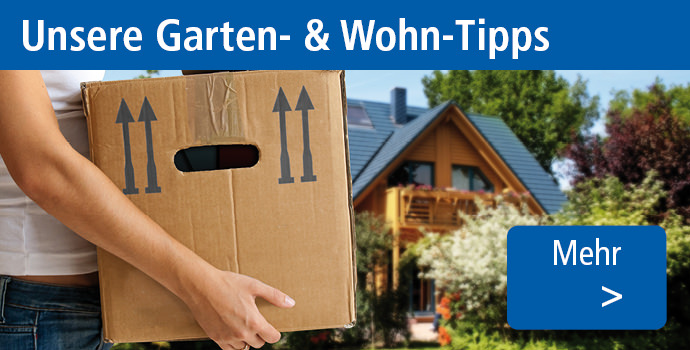 Unsere Garten- & Wohntipps